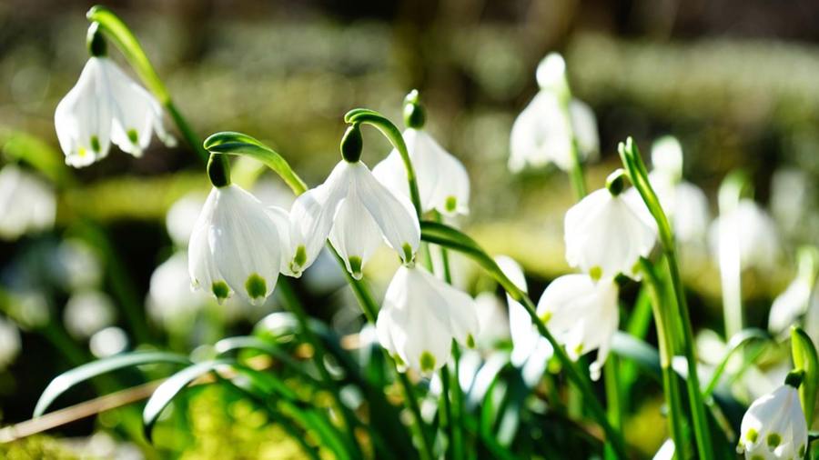 Spring is in the air today and we have been busy with bag deliveries. We offer a competitively priced skip bag service, with first class customer service. Bags can be ordered online at abbeygrabbag.co.uk or give us a call on 02380 811757.