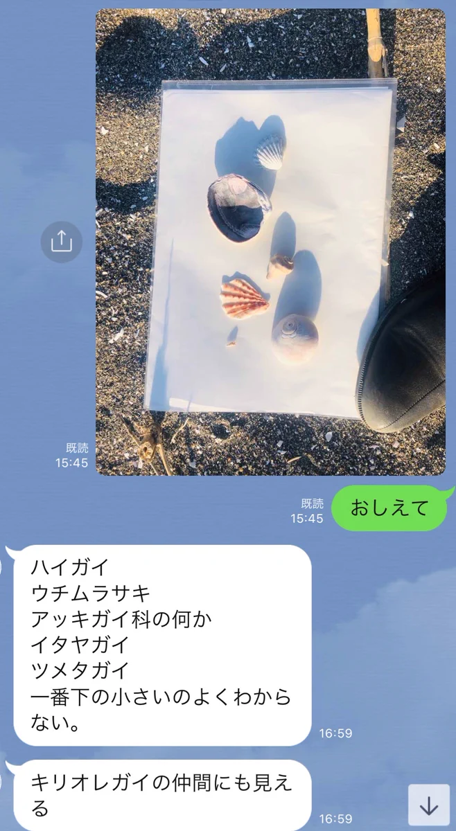 東大の男がモテる理由はこれ⁉素晴らしいLINEが話題にwwww