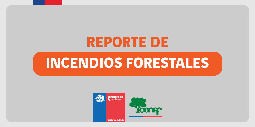 CONAFBiobio's tweet photo. 🔵ACTUALIZACIÓN | #IF sector cerro La U, en Talcahuano. A partir de las 8:30 de hoy se retomó el combate aéreo del incendio que afecta a cerca de 5,8 hectáreas.
Equipos despachados:
✅4 brigadas, 2 helicópteros y 1 avión de Conaf.
✅Bomberos de @CBTalcahuano
#Fono130Conaf☎️ https://t.co/eiLzrhKENG
