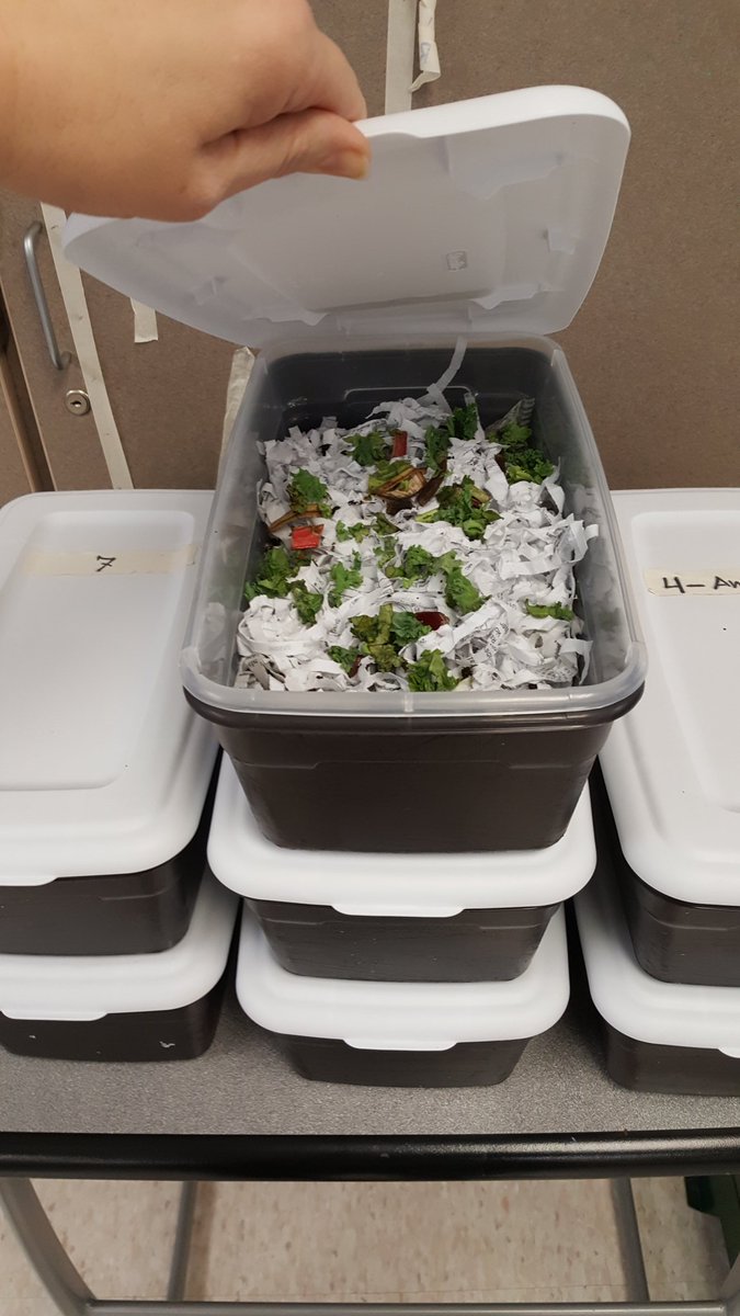 Ellen Schweiger tweet media