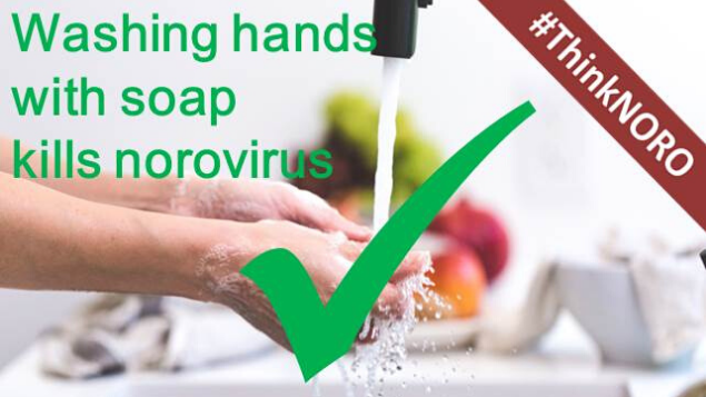lutoncouncil's tweet photo. Did you know? Alcohol hand gels DON’T kill #norovirus. If you’re visiting loved ones in a hospital or care home make sure you’re not unwell - and wash your hands with soap and water before going in #ThinkNORO https://t.co/CgnHZIKB5h https://t.co/0KXsCbhmOi