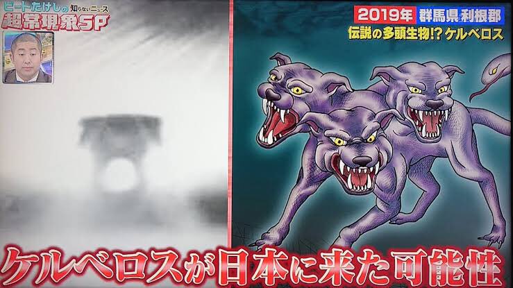 人間食べ食べカエル على تويتر 群馬県にはケルベロスがいるから T Co Brkvehd4rh تويتر