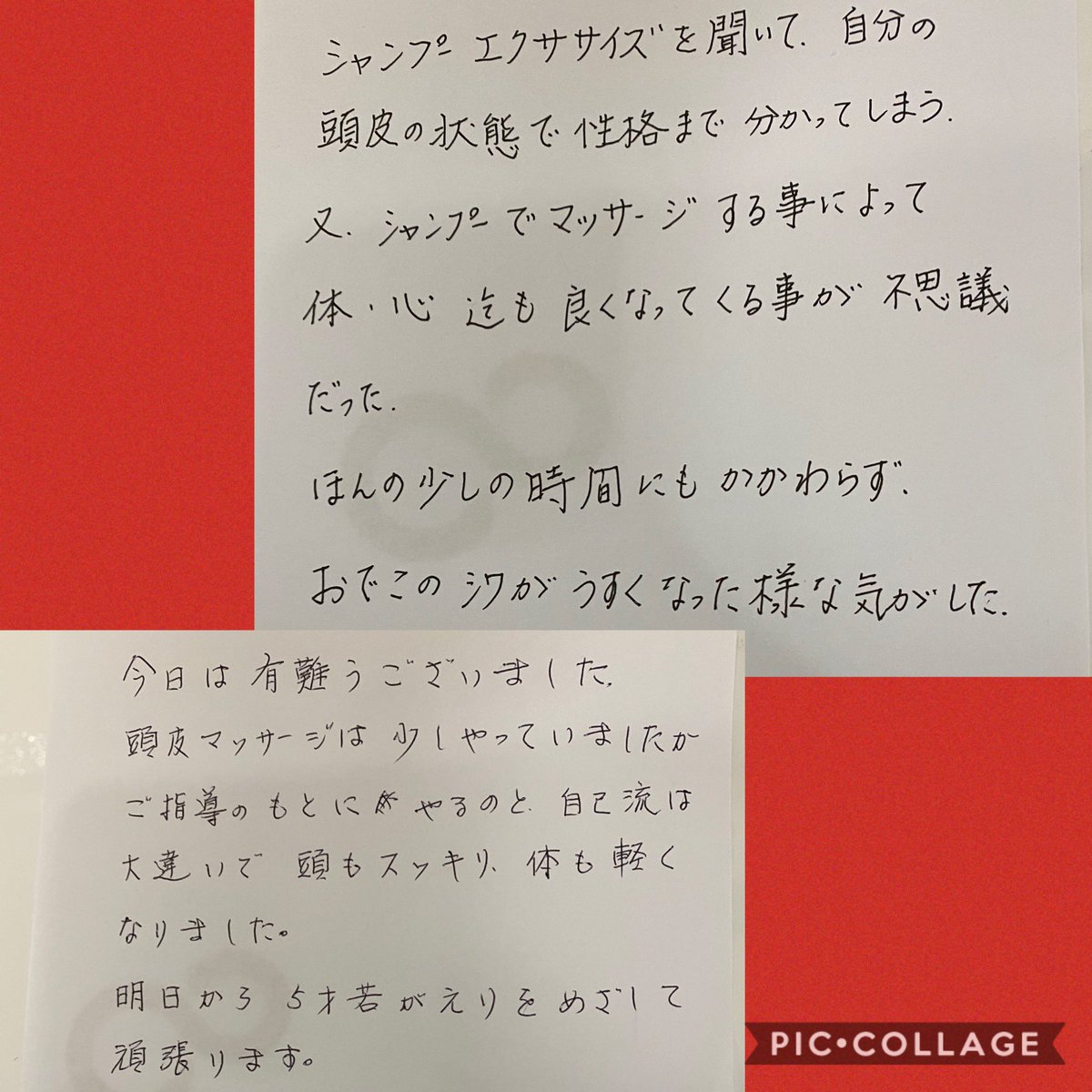 白髪改善