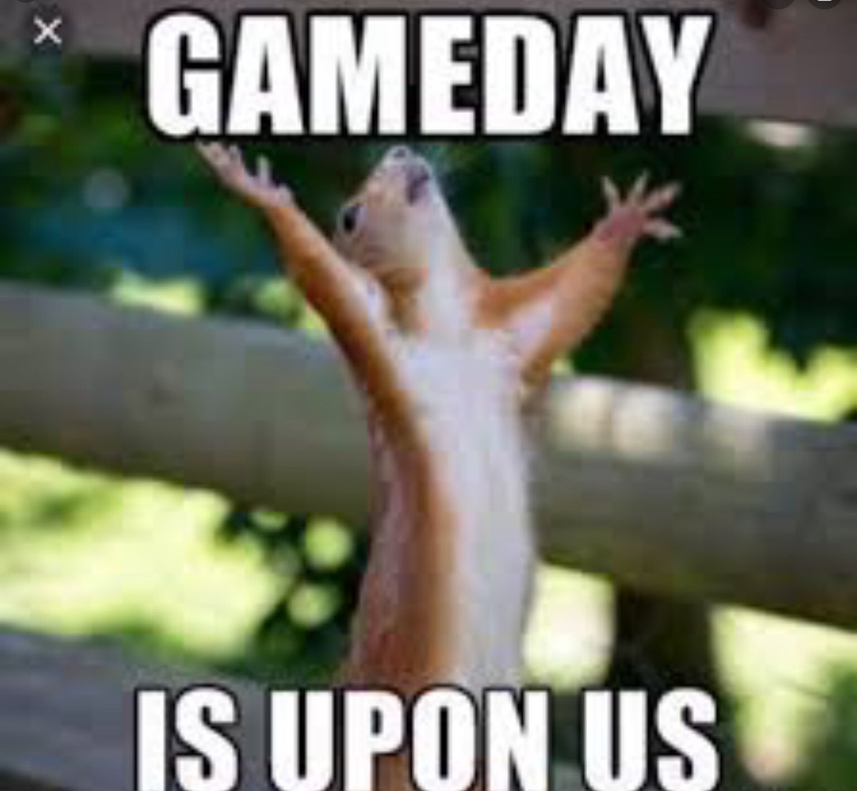 The Fillies are back at it again! Heading to Jacksonville Florida for a double header at 1 &amp; 3! Good luck Fillies 💚💛