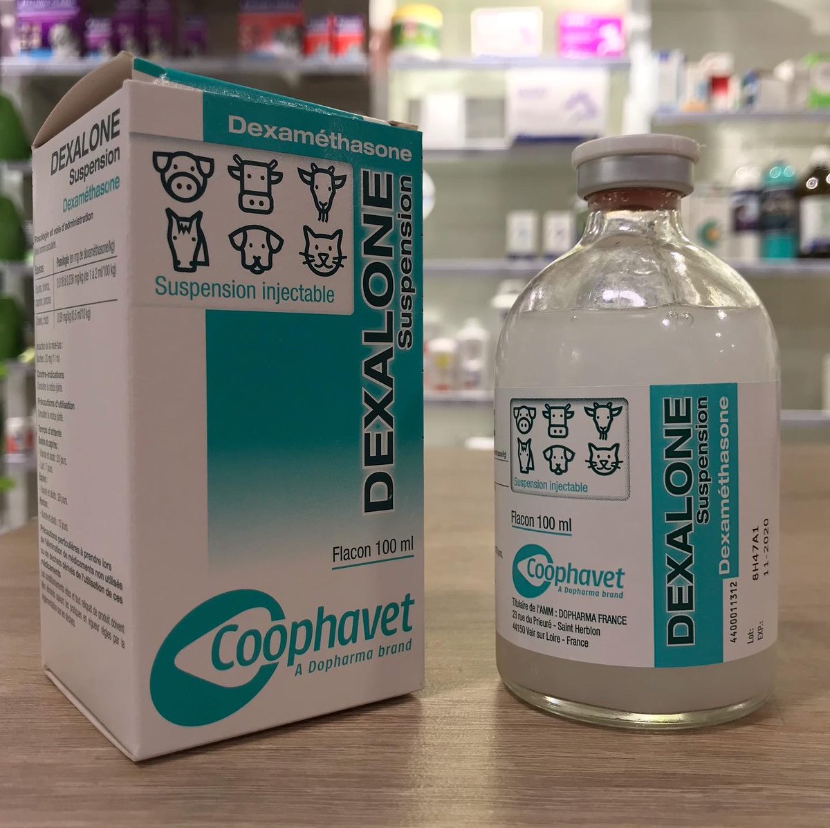 After more than 2 years of absence, Dexalone suspension is available again.
Our Dexalone is imported from FRANCE
 #Dubai #UAE #Cortamethasone #Horse #Camel #Camelracing #Horseracing #Dexamethasone #Dexalone #Pharmacy #Veterinarydrugs