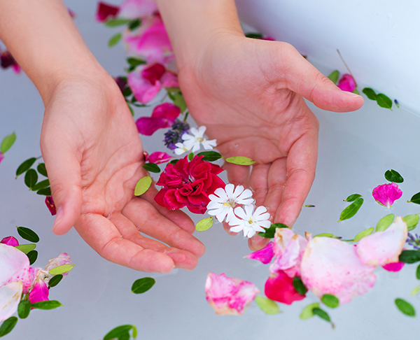 Mom Chantha tweet media