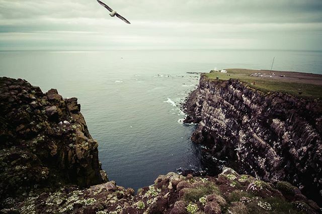 Another throwback to Iceland ❤️. Latrabjarg is the most western point of Iceland and famous for the numerous birds, especially for the puffins. 
#iceland #latrabjarg #westfjords ift.tt/3biX0IW