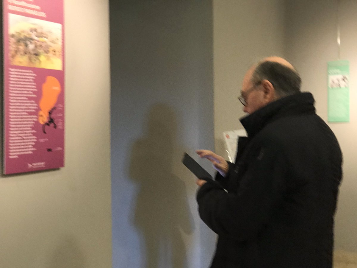 thebrief tweet media