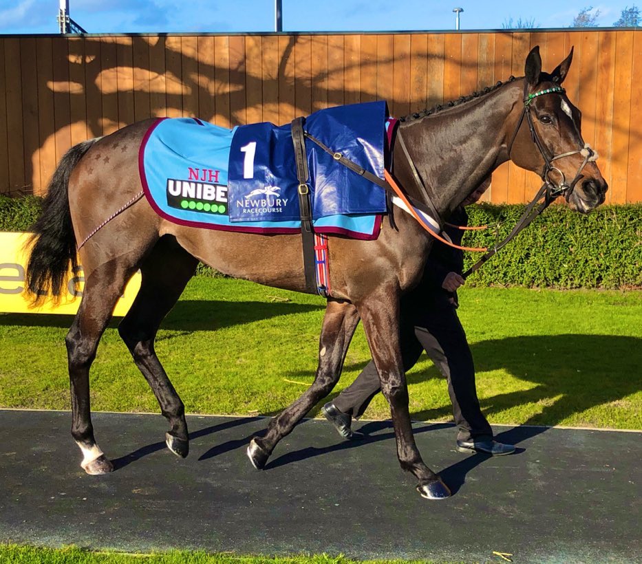 Altior (@kingaltior) on Twitter photo 