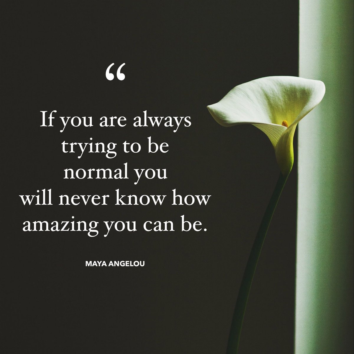 purplehazeJD's tweet photo. “If you are always trying to be normal you will never know how amazing you can be.”
~Maya Angelou
*
Be AMAZING today!
***
#authenticYOU #beyou #celebrateYOU #empoweredYOU https://t.co/Tg6eSyTWr1