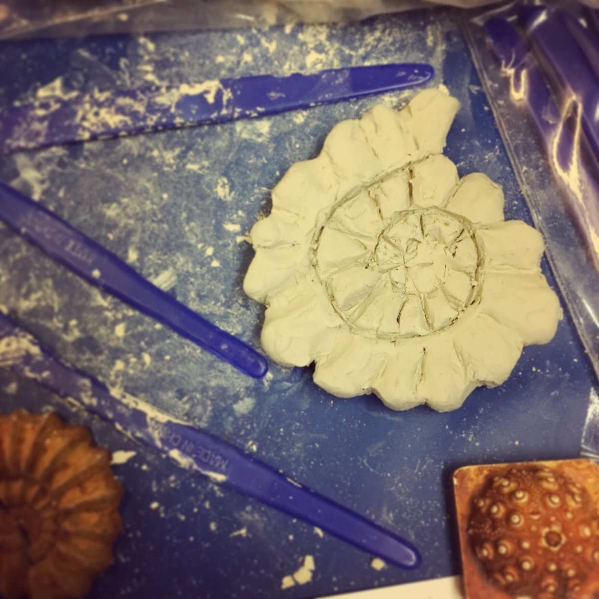 MuseumandArt's tweet image. Don&apos;t forget to join in the fun today at our half term craft workshop FANTASTIC FOSSILS!
To take part simply pop-in anytime between 11am &amp;amp; 3pm.
Only £3 per child!
For more info: bit.ly/2OEIBgr
#fantasticfossils #februaryfun #halfterm