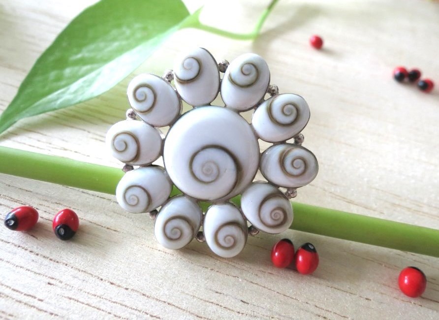 SilverSeashell tweet picture