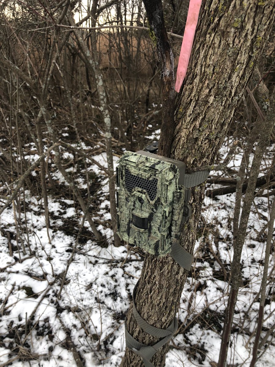 daBoonePope's tweet image. Anyone else wedge sticks behind your camera to get the perfect angle? Or is that just me...?