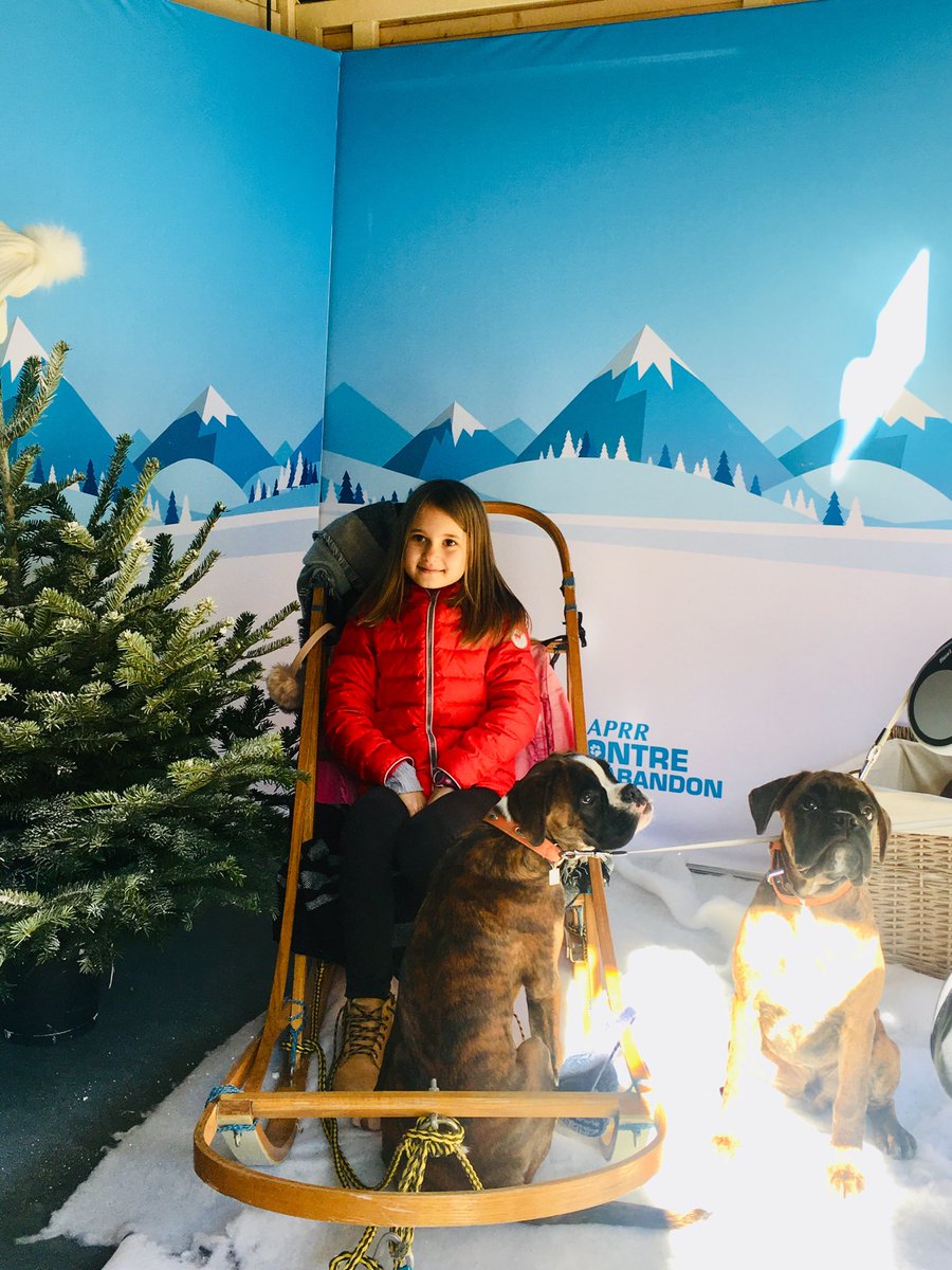LassagneSandra's tweet photo. Prenez la pause devant l'objectif des photocall de aires de l'Isle d'Abeau (A43) et du Jura (A39). 
Bonne route et bonnes vacances à tous nos amis à 4 pattes et à leurs compagnons à 2 pattes ! #APRRcontrelabandon https://t.co/5egD4UQR3t