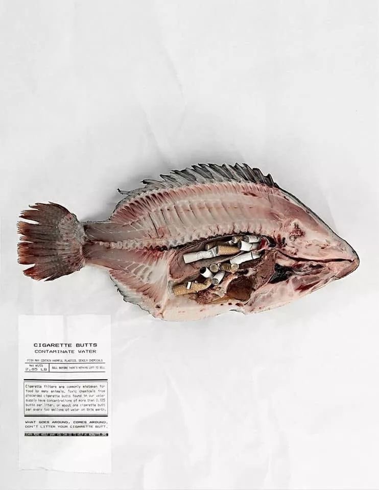 Wdekanter's tweet photo. #dghff #2040 #globalhealth @EU_Commission @WHO @damongameau
nr 1. contamination ocean : cigarette butts
https://t.co/5ijoCGkw2T
Deforestation, pesticides and child labour
https://t.co/NNMx9Ntheq https://t.co/DM4tts7yxw