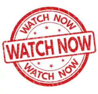 Angélica Kraus tweet media