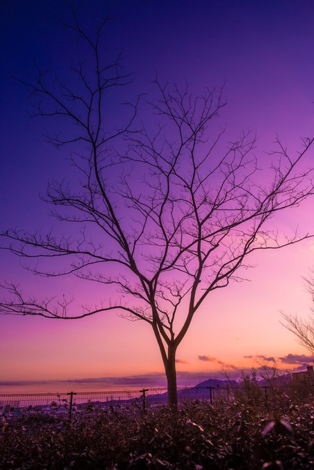 夕焼けのtwitterイラスト検索結果 古い順