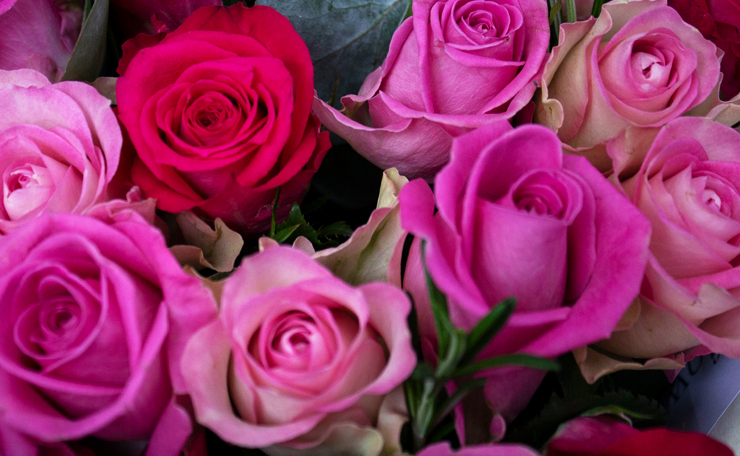 Fairtrade Foundation tweet media