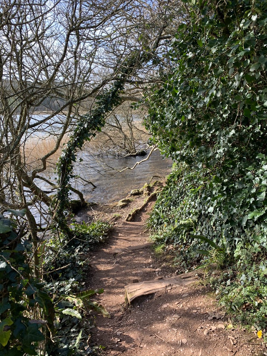 14Apartment's tweet photo. Lovely morning in #Dartmouth and then onto #Slapton for a leisurely walk around the nature reserve which was full of spring flowers @CandCC @sykescottages @GreatDevonDays @visitsouthdevon @DevonLife @discoverdart @RoyalRegatta @discoverdart @FSCSlaptonLey https://t.co/V88KXYnCHz