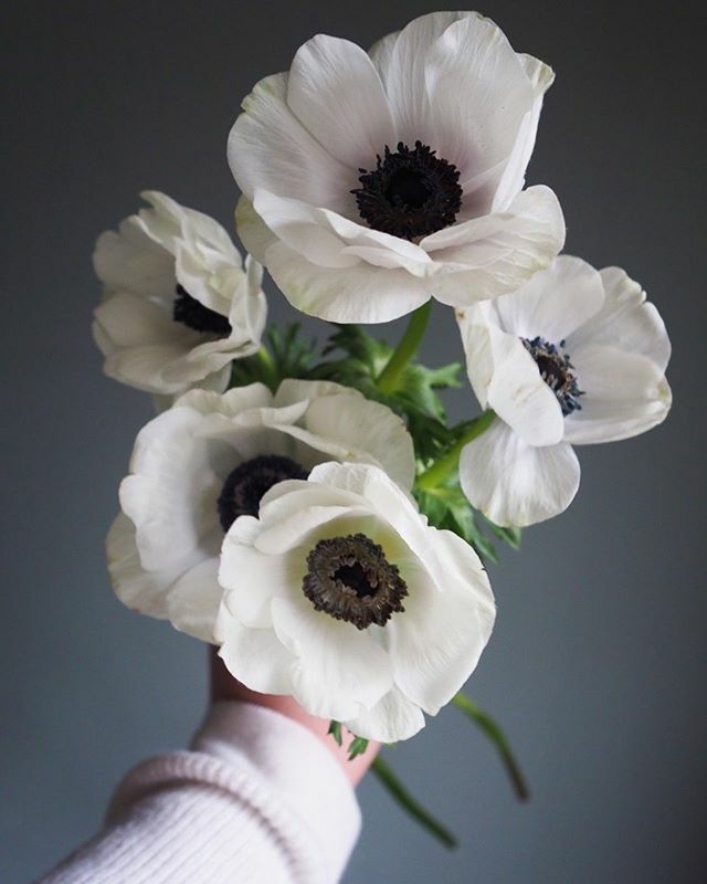 Bet my Saturday’s prettier than yours ift.tt/2uylq0m