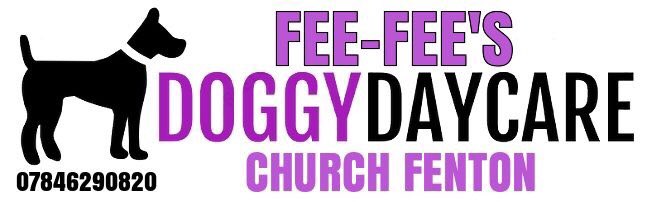 PetFee's tweet photo. From March 2020, we have limited places for Doggy Day Care, Monday to Friday 
For more information or to book a place, please message us or call 07846290820
#churchfenton #tadcaster #Sherburninelmet #ulleskelf https://t.co/ZL0nU4HLBO