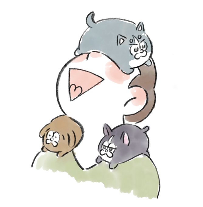 「cat on head」 illustration images(Latest｜RT&Fav:50)｜8pages