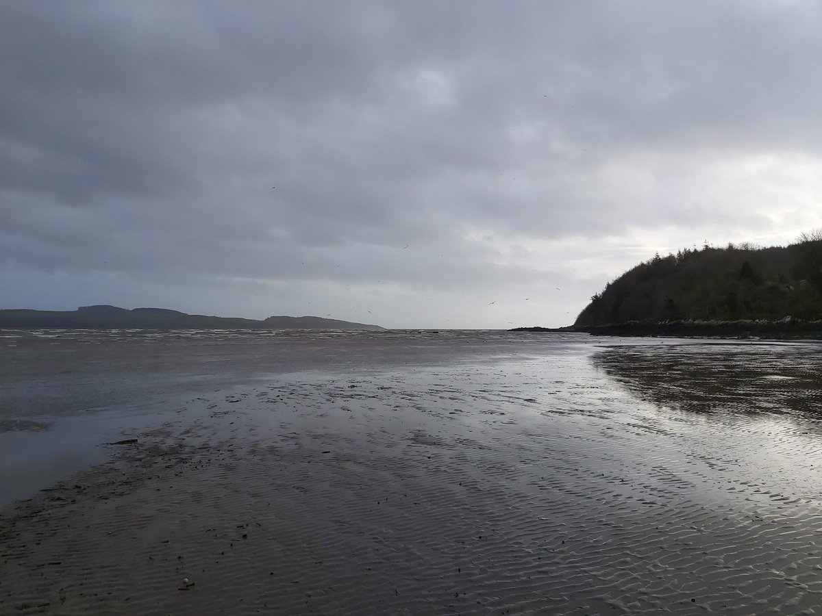 Laura_Moodie's tweet photo. There's a storm brewing. #366DaysOfNature https://t.co/qK4duSZ0O7