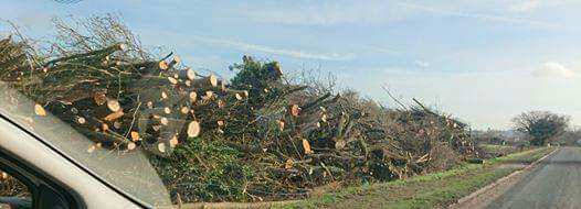 NetsNot's tweet photo. @henrimurison @NP_Partnership @Gibbo4Darlo @PaulHowellMP @darlingtonbc @fore_consulting @HitachiRailEU @EchoRachelC @TeesValleyCA @BenHouchen @BBCRichardMoss @BBCTees @TheNorthernEcho @CAFRail_UK Disgusting ongoing #Ecocide &amp; #WasteofMoney #NoOneWantsHS2 unless they are effectively stealing taxpayers money &amp; simply don't care about the irreversible destruction of our planet #ShameOnYou #FastTrain4FatCats https://t.co/Pgswak6oEn
