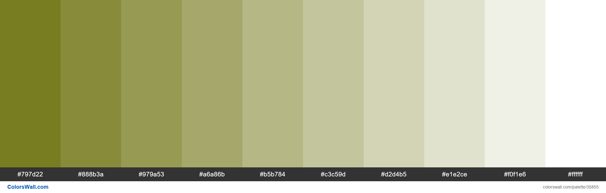 colorswall on X: Tints XKCD Color brownish green #6a6e09 hex