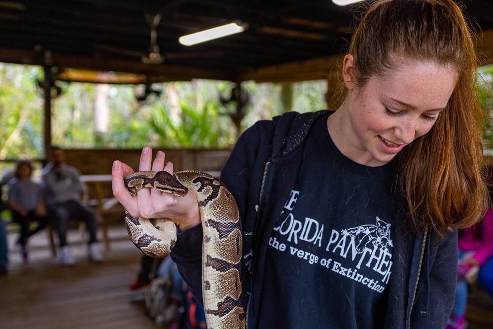 hlaureano's tweet photo. Took these at @Jungle_Adventur while on a school foeld trip yesterday. 2/3 https://t.co/fLcGSuRRa0