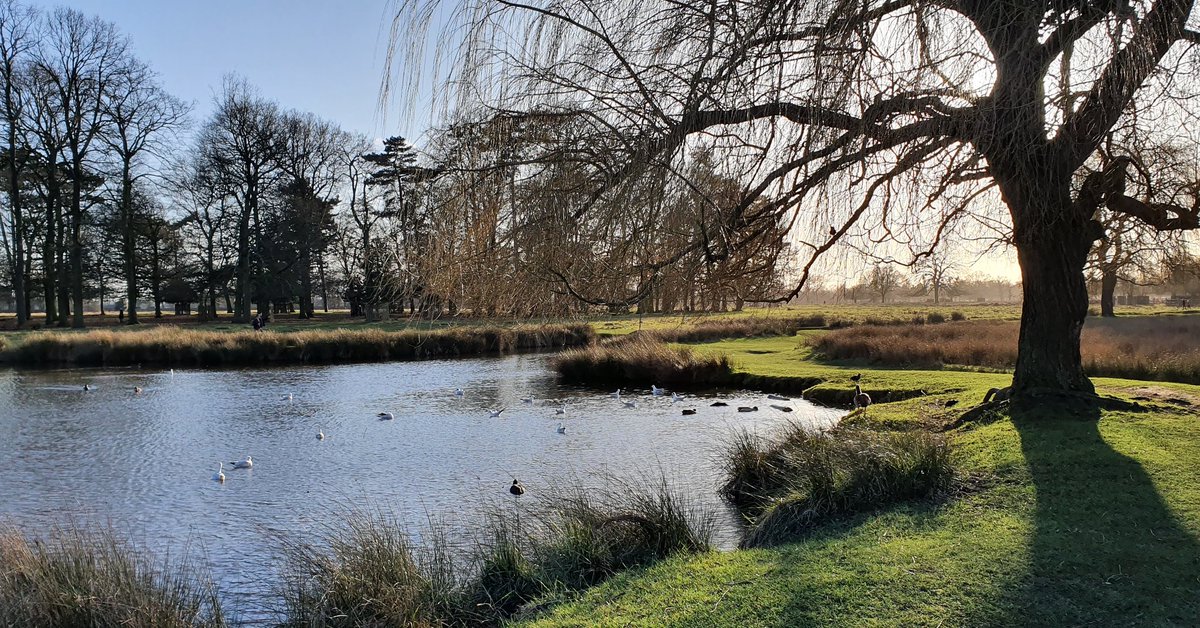 The calm before the storm 
#StormCiaًra #bushypark