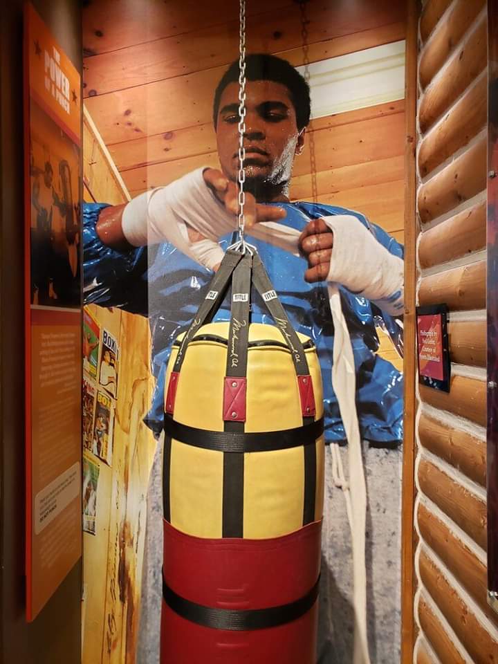 west2jackie's tweet image. Take a moment to step back and think about what your life’s blueprint is.

#6CorePrinciples 
#Goals 
#Passion 
#PeoplesChamp
#Goat🦙