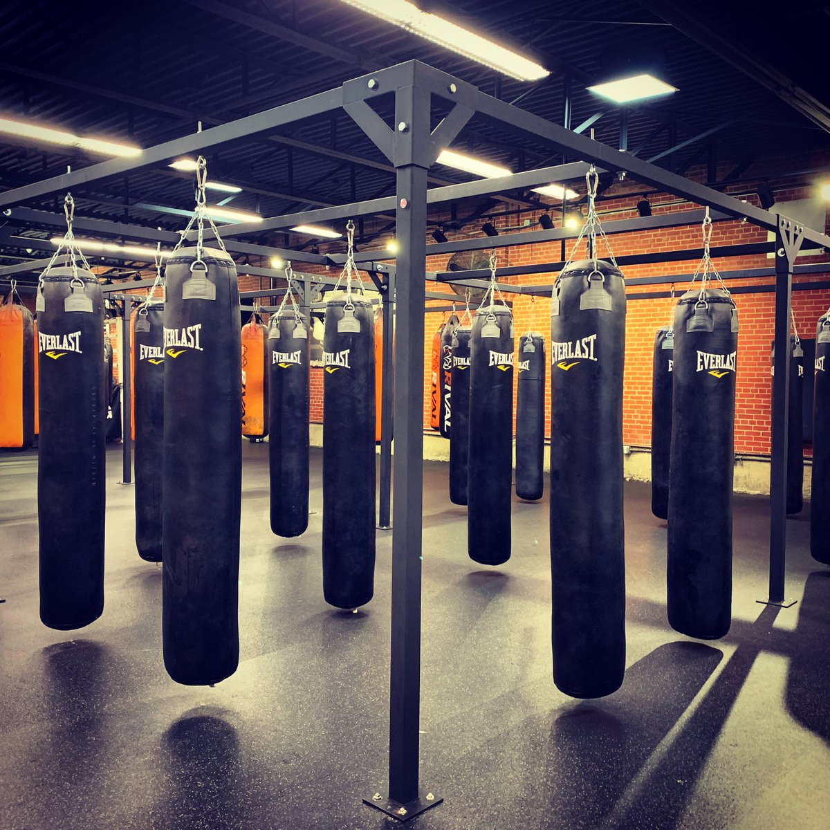 Maple Avenue Boxing Gym tweet media