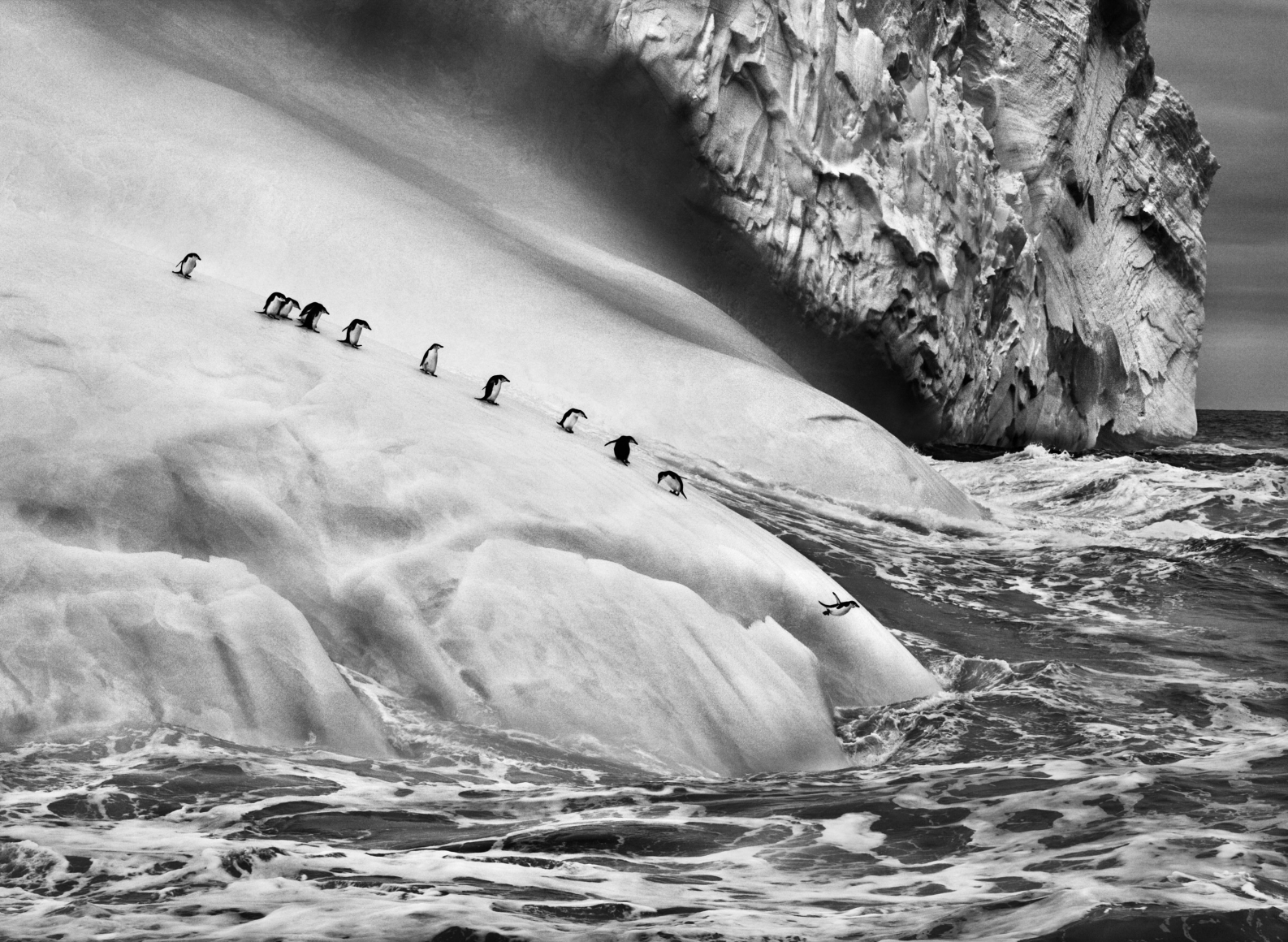 Happy Birthday Sebastião Salgado 