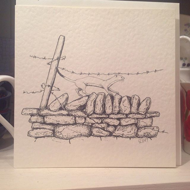 InkAndClaw's tweet photo. Stoat on the wall (and other greeting cards), by @juliatetley #StoatSaturday (click for more) https://t.co/Uq58ztx2dK https://t.co/QmwuyaDExI