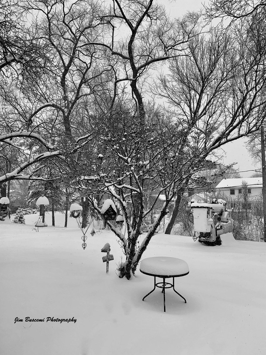 Jbusc33's tweet photo. #snow #snowday #winter #thegroundhogwaswrong #fairportny #white #blackandwhitephotography #hurryupspring https://t.co/NI9EFwcK3o