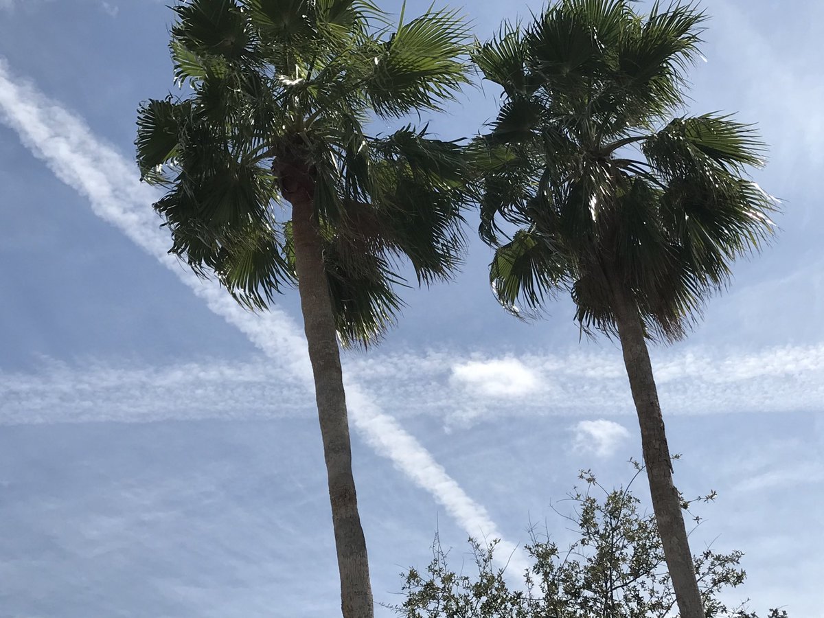 FederalistBill's tweet photo. Sky was totally blue this morning until the past 3 hours of pattern spraying. #GeoEngineering #SolarManagement west Palm, FL https://t.co/yBkzSsNen3