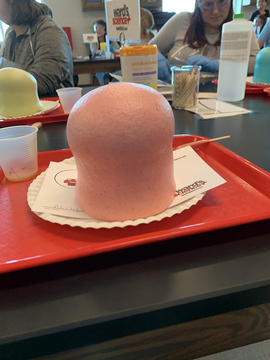 avilamd's tweet photo. Living my best life! Experiments for chemistry! #polyurethane foam #sodium borate slime #chemiluminescence #dfwminicast @KISD_Science https://t.co/V6i6wVAeRw