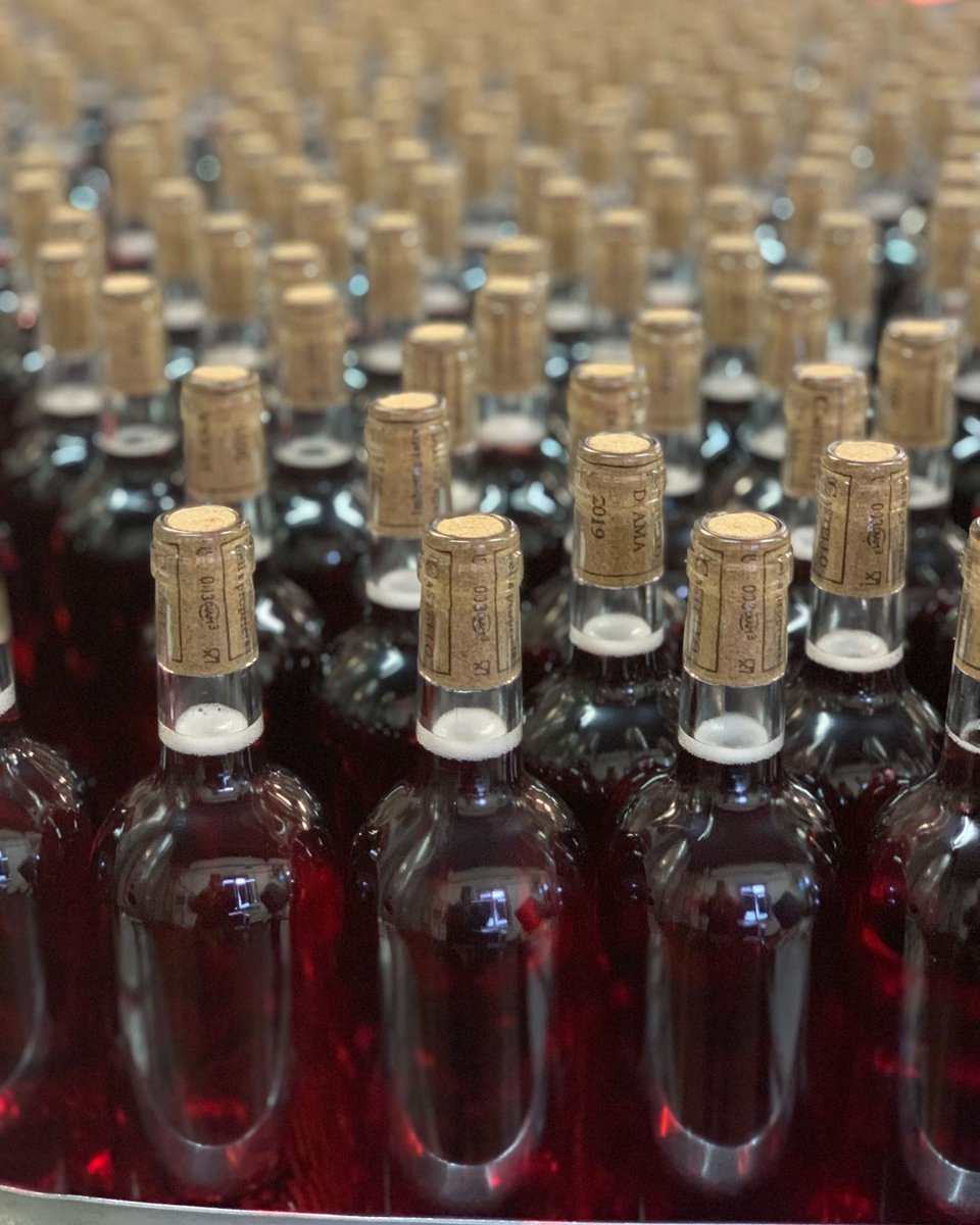 Imbottigliamento
🍷Bottling day
.
.
#castellodiama #chianticlassico