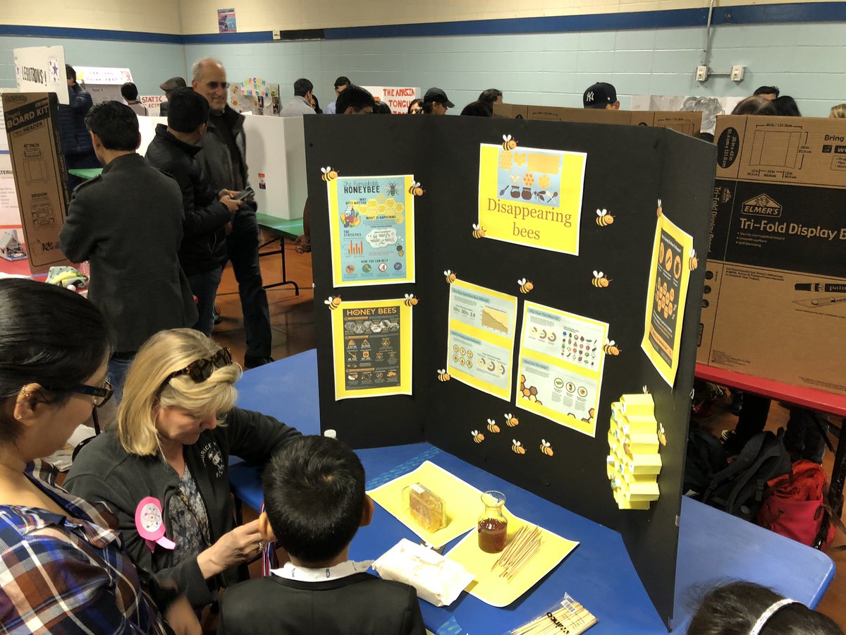 A sunny Saturday morning hearing all  about the great science work our students have been engaging in. What a wonderful way to start the weekend! <a href="/MauriceHawkWWP/">Maurice Hawk School</a> Science Fair 2020! Thank you PTA! <a href="/BuellPatricia/">Patricia Buell</a> <a href="/WWP_Schools/">WW-P School District</a> #wwprsd