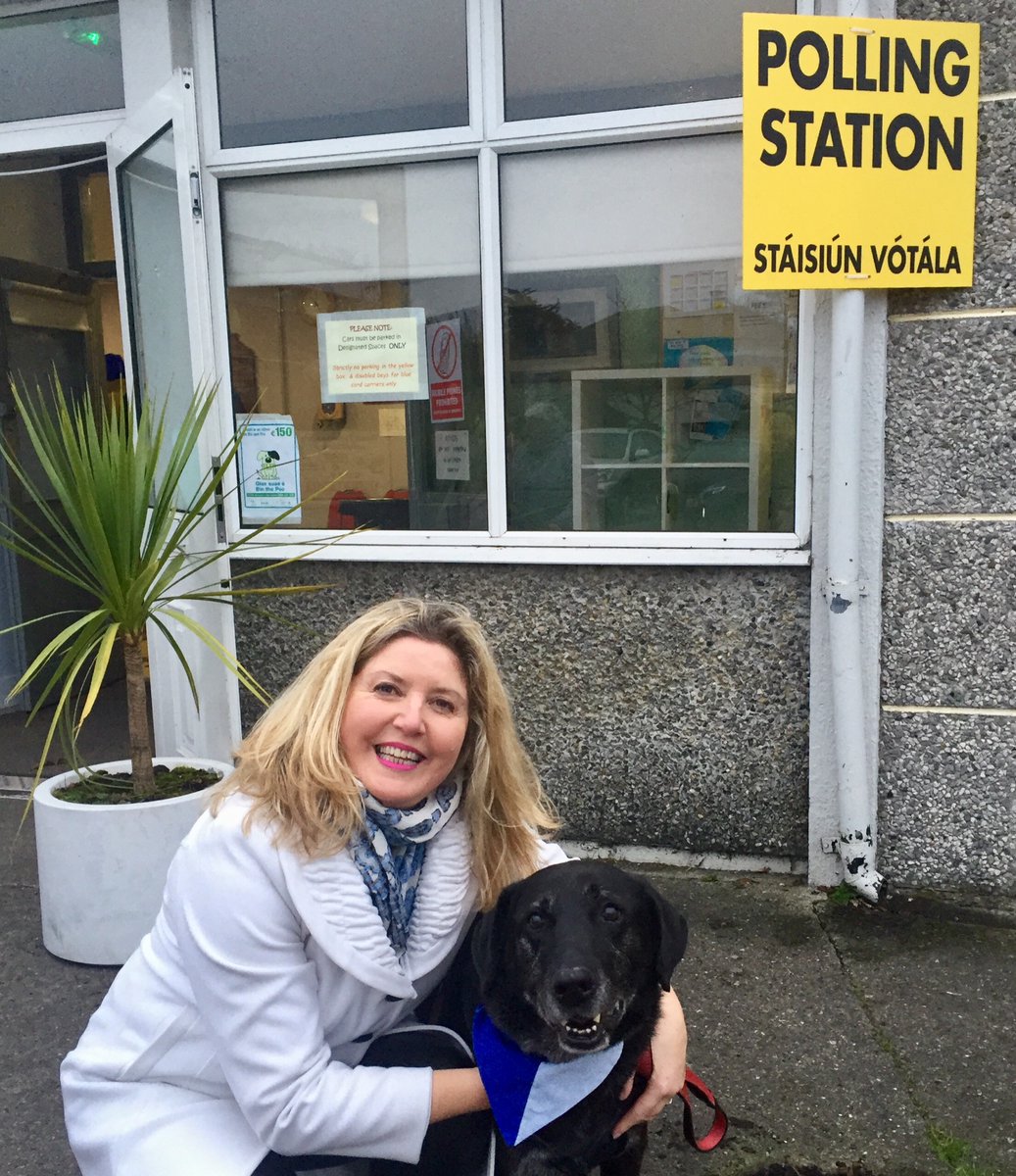 Zuomo joining the 
<a href="/VotingDogs/">#DogsAtPollingStations</a> . Great to see so many #clontarf @pollingstationdogs