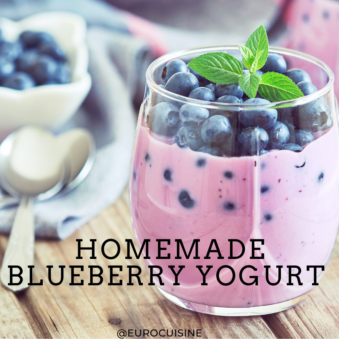 Euro_Cuisine's tweet photo. Have you ever tried making homemade yogurt? It's easy to make your own healthy homemade yogurt with the Euro Cuisiine automatic yogurt maker! Available online at @Amazon https://t.co/Pdrj3Qf1pB

#homemade #yogurt #dairy #protein #buleberry #strawberry https://t.co/KIifweZBra