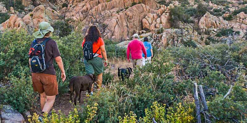 PrescottNF's tweet photo. Days like this are the reason Arizona attracts so many visitors during the winter. Even just last week, who would have thought we'd be out in shorts again so quickly? #HIke #Bike #Ride #OffroadAZ https://t.co/JpEi9Ekixl