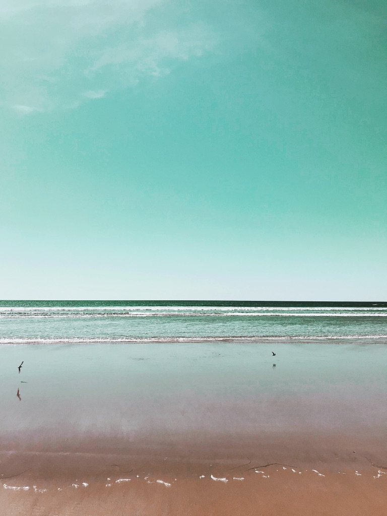 🌊The weekend has us dreaming of Long Beach 🌊⁠