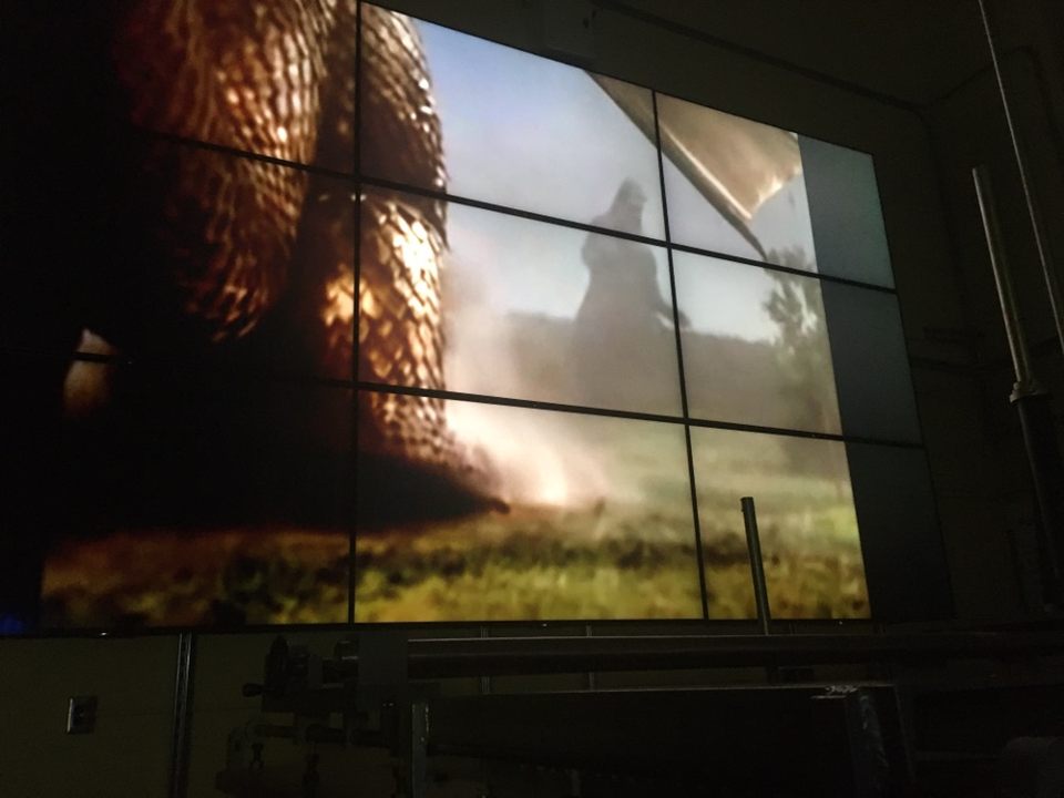 Purdue ANS tweet media