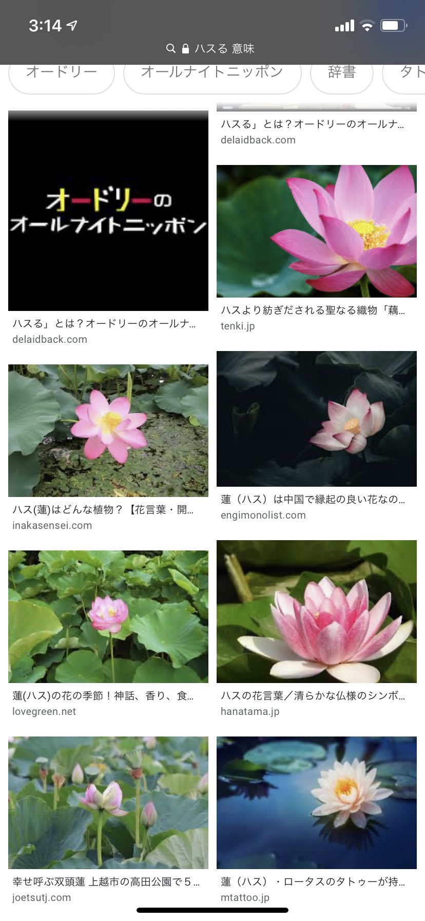 舞鶴 ハスる 意味で検索したらオードリーのオールナイトニッポンはあまり出ず蓮の花が出てきて清らかな心になってたのに途中蓮コラも出てきて集合体恐怖症のわいは死にました 舞鶴 ハスる 意味で検索したらオードリーのオールナイトニッポンはあまり出ず蓮の花が出てきて清らかな心になってたのに途中蓮コラも出てきて集合体恐怖症のわいは死にました