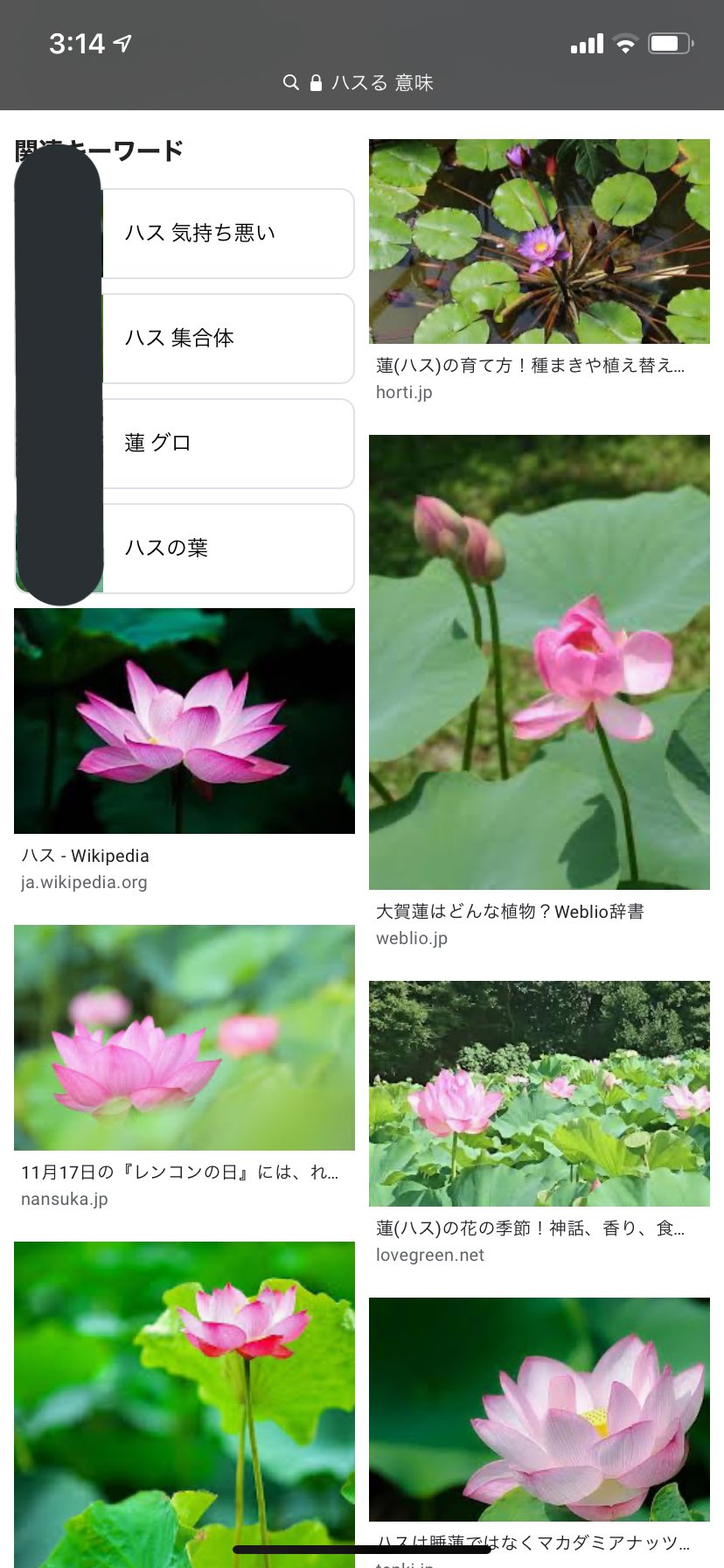 舞鶴 ハスる 意味で検索したらオードリーのオールナイトニッポンはあまり出ず蓮の花が出てきて清らかな心になってたのに途中蓮コラも出てきて集合体恐怖症のわいは死にました 舞鶴 ハスる 意味で検索したらオードリーのオールナイトニッポンはあまり出ず蓮の花が出てきて清らかな心になってたのに途中蓮コラも出てきて集合体恐怖症のわいは死にました