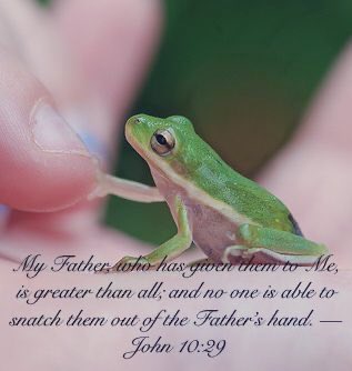 TheLordsDayFrog's tweet photo. Struggling today with a lot of different things... So thankful to know that the God I serve is sovereign and nothing is outside of His control #SecureInHim #GodIsSovereign https://t.co/iEVMVcInBq