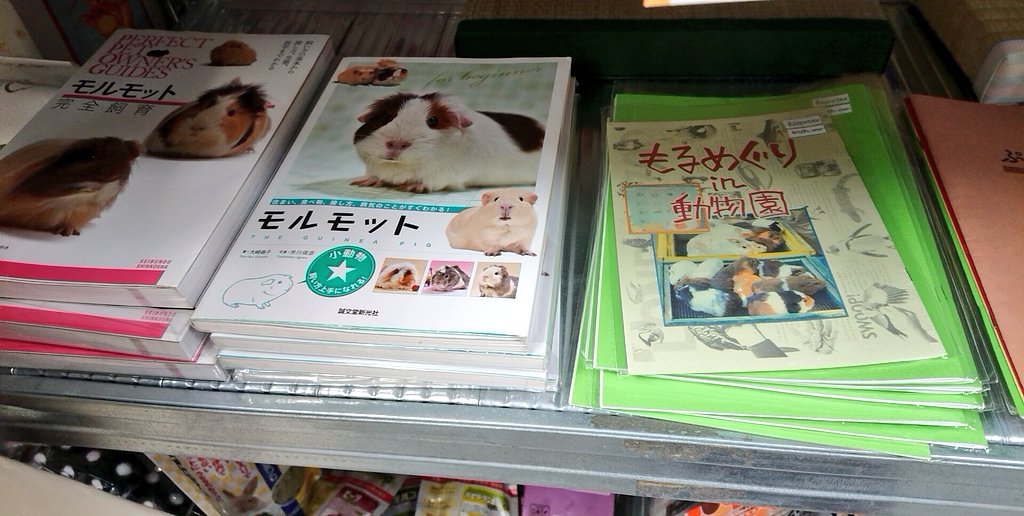 atelier_makikoo's tweet photo. #RTで私達を有名にしてください

約 40名の
小動物
クリエイターが
東京高円寺で
お待ちしております＼(^_^)／

#アニマルギャラリー
#モルモット
#pattyandrunrun
#guineapig
#degu
#art
#ferret
#chipmunk
#rabbit
#hamster
#Prairiedog
#chinchilla
#steplemming
#coffee
https://t.co/wptxdvhQe5 https://t.co/I8uVWvXmvS