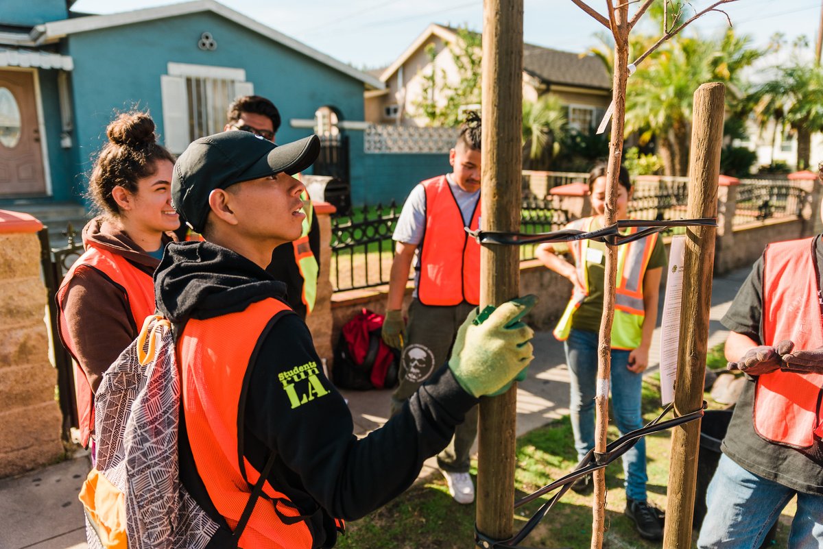 TreePeople_org's tweet photo. We love trees because they provide shade, pull pollution out of the air, and create more beauty. We love planting them because the process fosters an environment that empowers volunteers to protect the environment around them and bring people closer together! https://t.co/npp86AOgZv